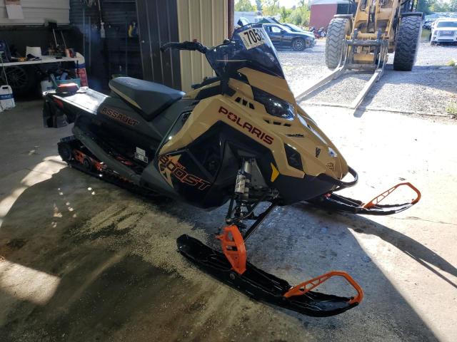 POLARIS SWITCHBACK 2024 tan   SN1TLC8M2RC220519 photo #1
