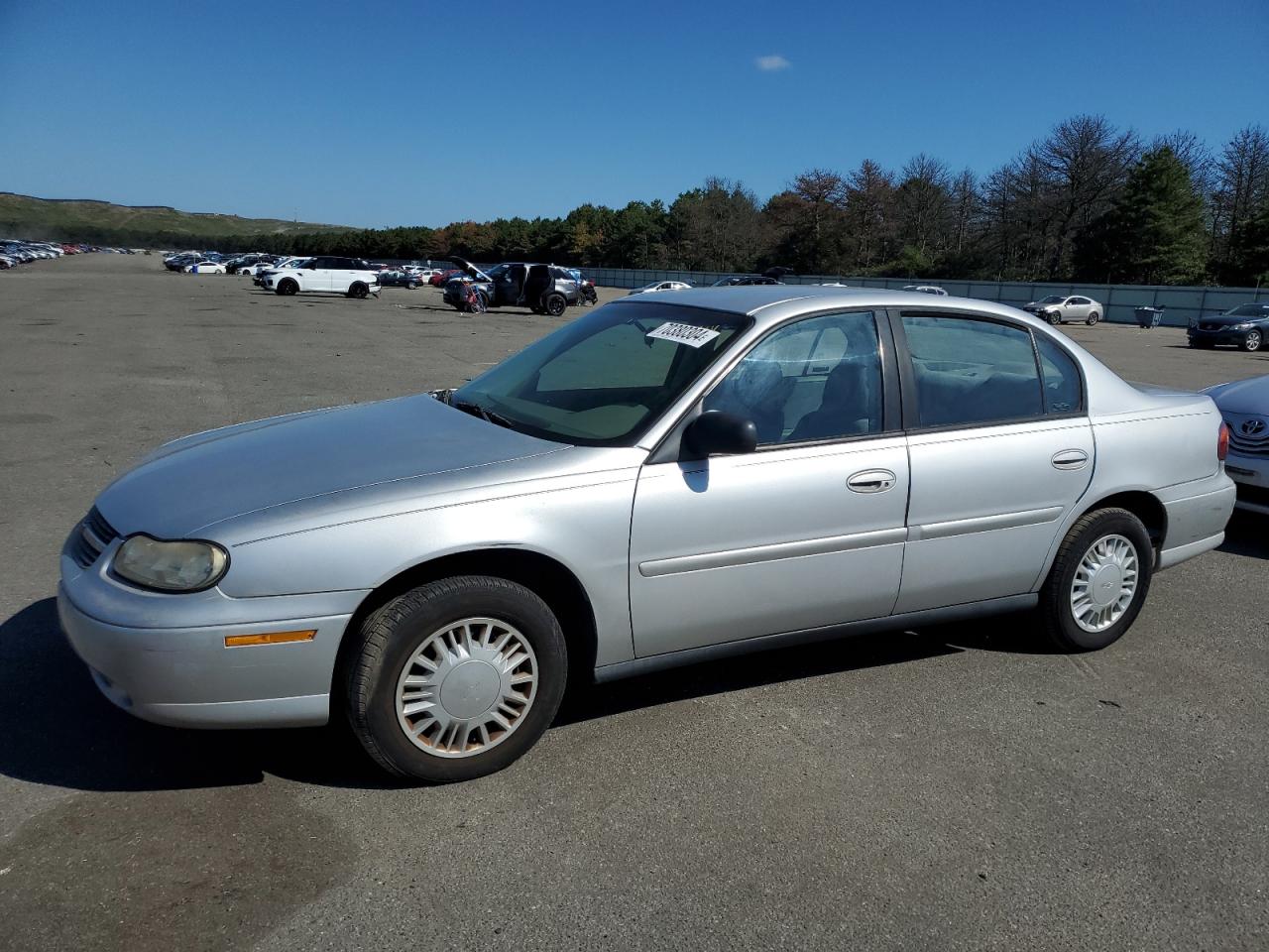 Lot #3028500924 2002 CHEVROLET MALIBU