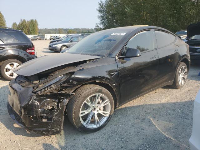 2023 TESLA MODEL Y #2986928835