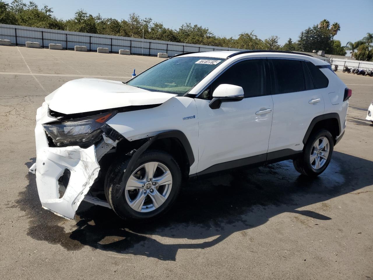 Lot #2978902645 2020 TOYOTA RAV4 LE