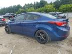 HYUNDAI ELANTRA SE photo