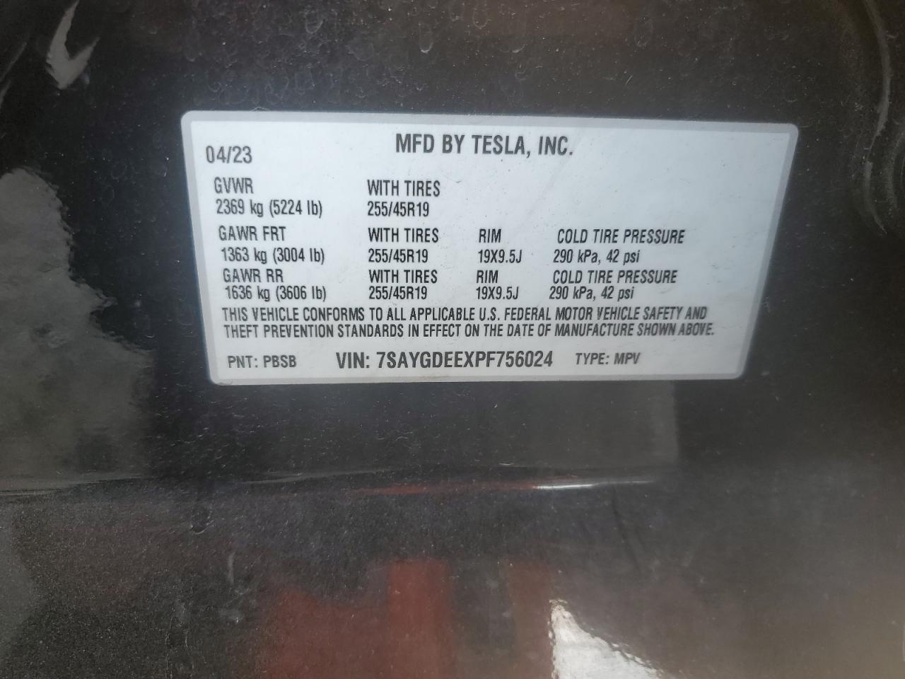 Lot #2986928835 2023 TESLA MODEL Y