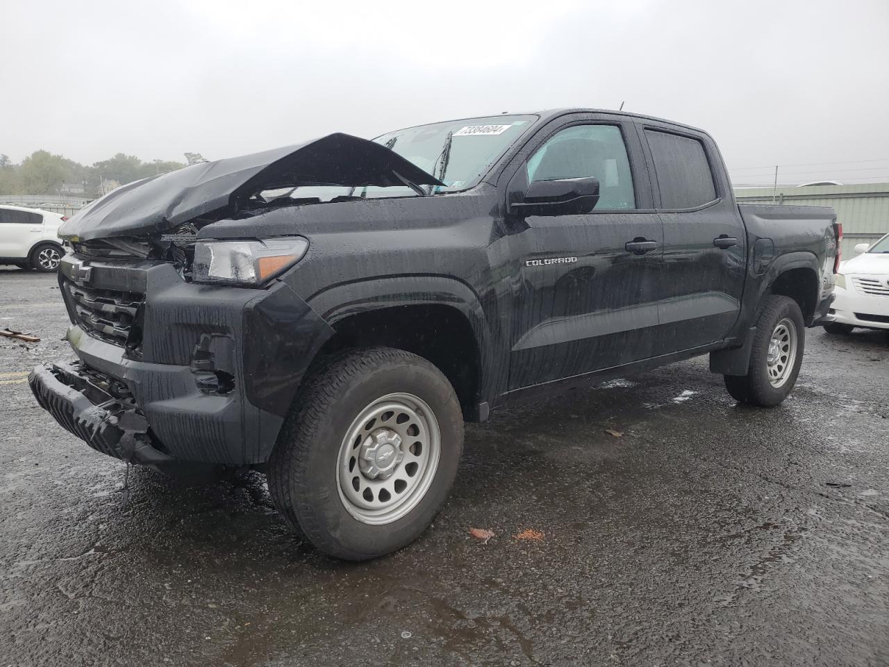 Lot #2986908776 2023 CHEVROLET COLORADO