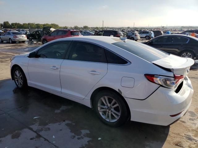 2016 HYUNDAI SONATA SE - 5NPE24AF1GH392168