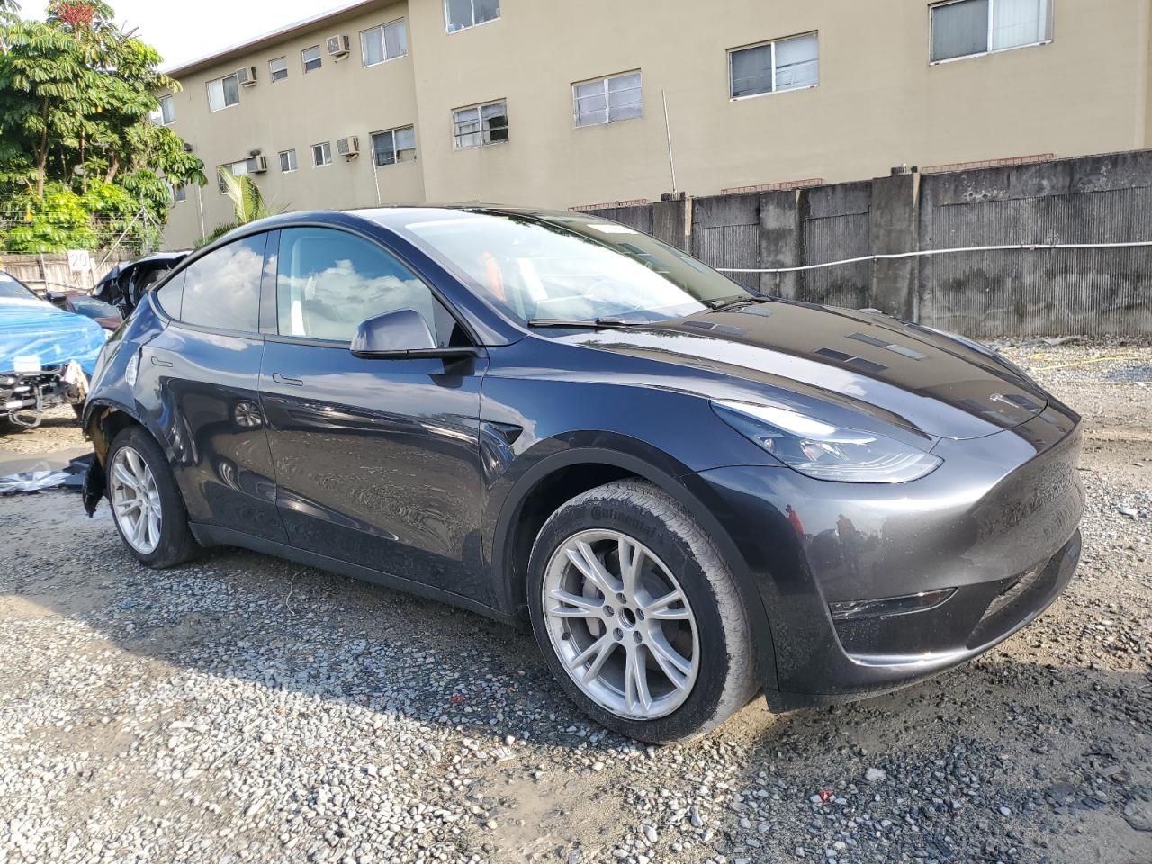 Lot #2980750391 2024 TESLA MODEL Y