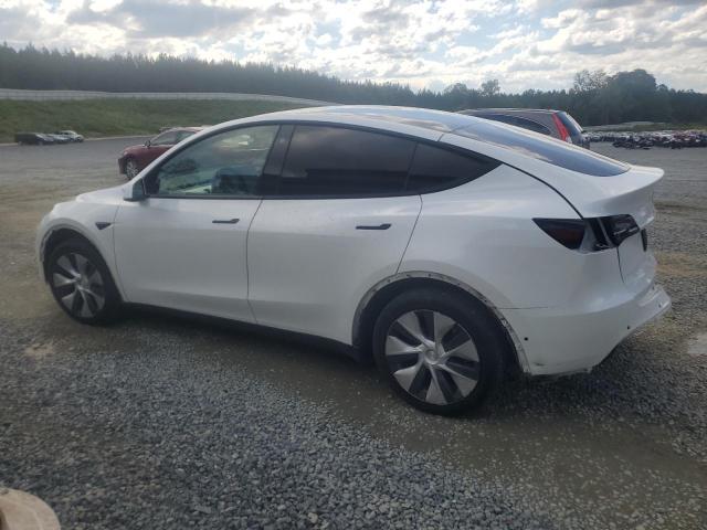 2021 TESLA MODEL Y - 5YJYGDEE8MF256825