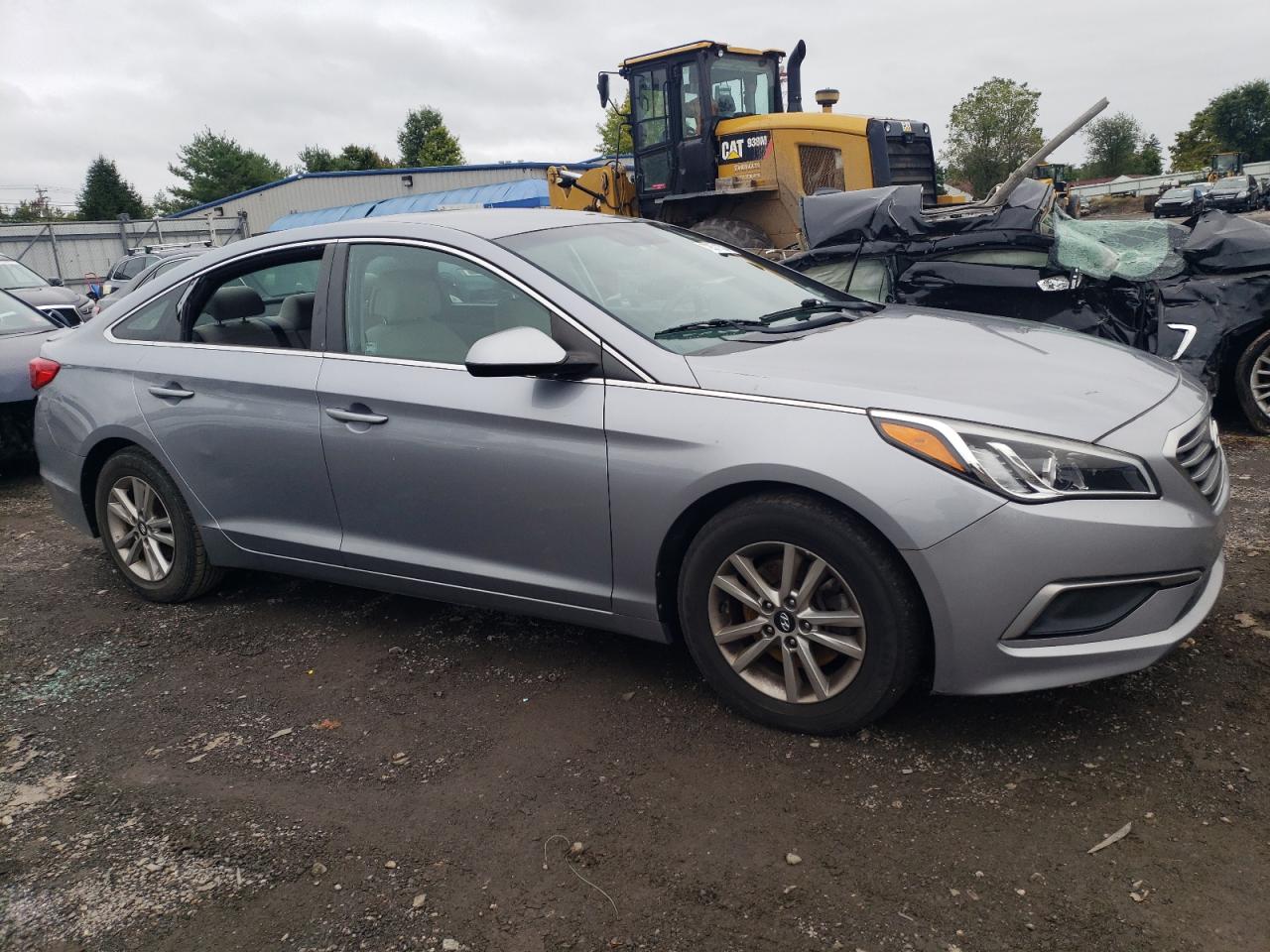 Lot #2994168247 2016 HYUNDAI SONATA SE