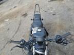 Lot #3026994781 2019 HARLEY-DAVIDSON XL883 N