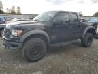 FORD F150 SVT R photo