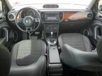 VOLKSWAGEN BEETLE TUR photo