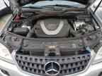 MERCEDES-BENZ ML 350 photo