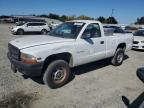 DODGE DAKOTA photo