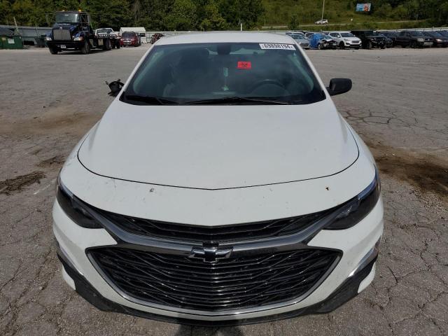2019 CHEVROLET MALIBU RS - 1G1ZG5ST3KF200323