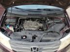 HONDA ODYSSEY EX photo