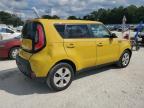 KIA SOUL + photo