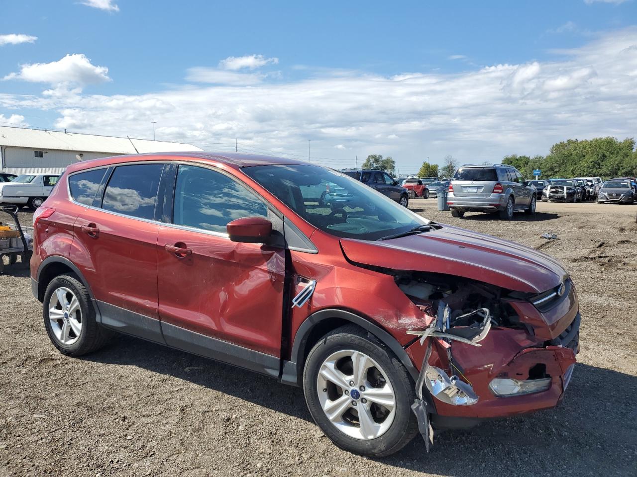 Lot #2902485924 2014 FORD ESCAPE SE