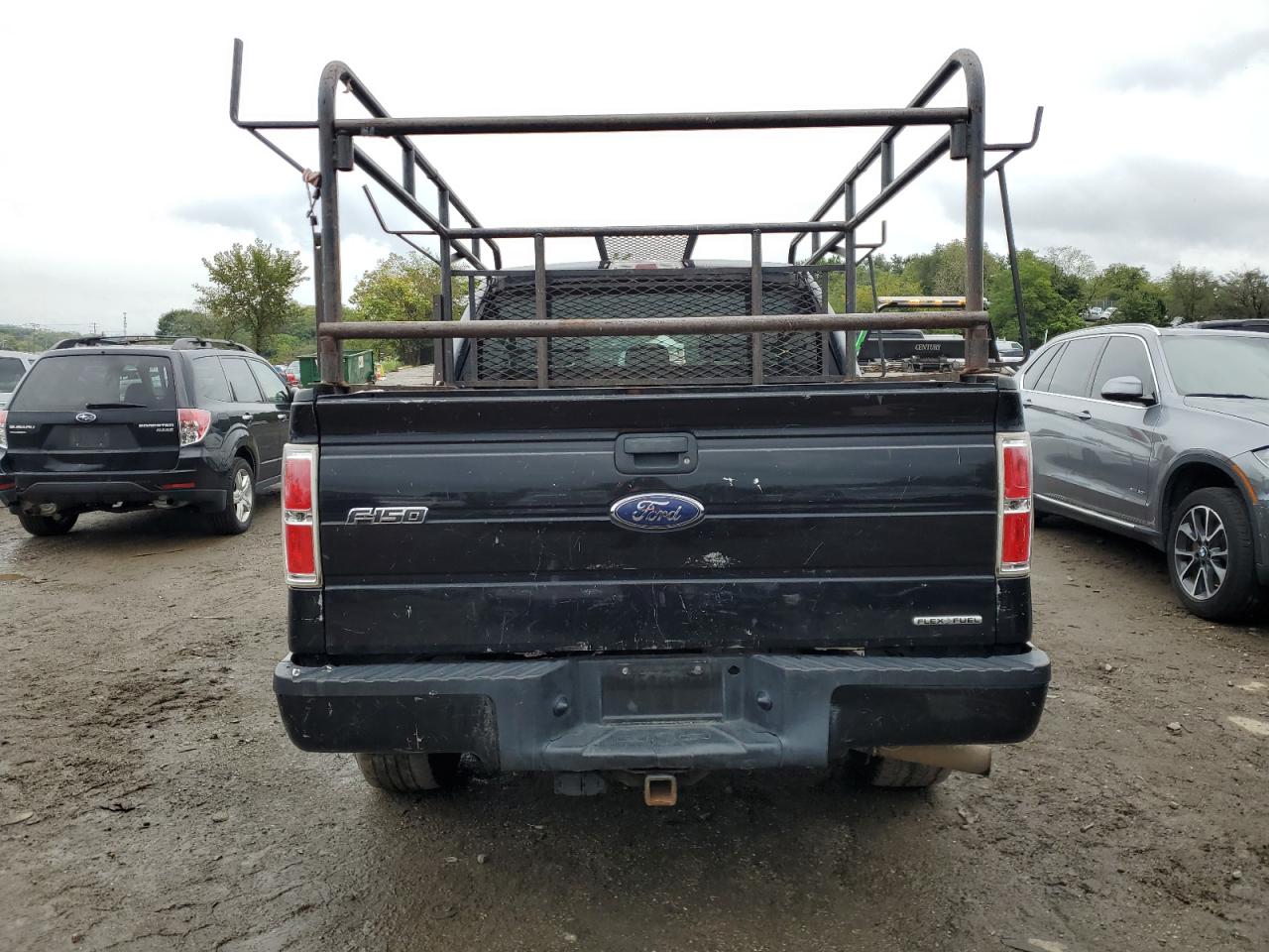 Lot #2888654716 2014 FORD F150 SUPER