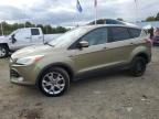 FORD ESCAPE SEL photo