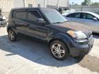 KIA SOUL + photo