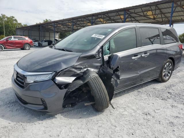 2023 HONDA ODYSSEY EX - 5FNRL6H64PB019091