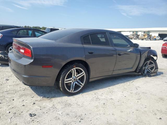 VIN 2C3CDXAG1DH661404 2013 Dodge Charger, Police no.3