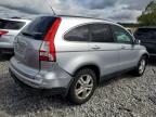 HONDA CR-V EXL photo