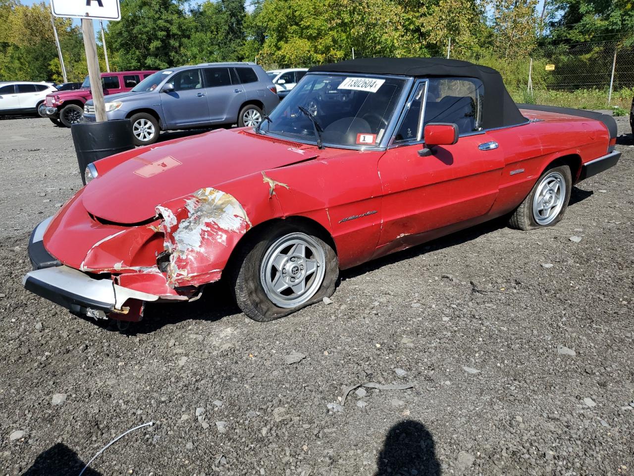 Alfa Romeo Spider 1986 Veloce