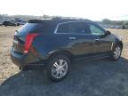 CADILLAC SRX LUXURY photo