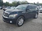 INFINITI QX80 photo