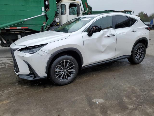 2025 LEXUS NX 350 PRE #2986948753