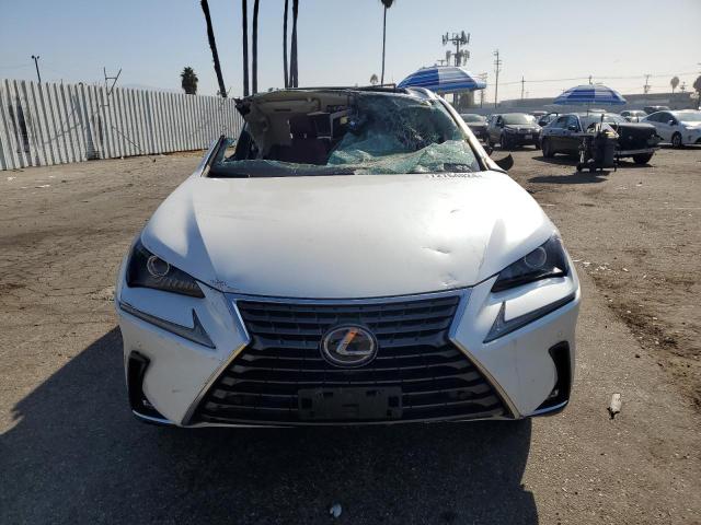 2021 LEXUS NX 300 BAS - JTJGARBZ0M5025434