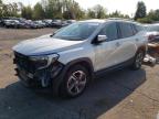 2019 GMC TERRAIN SL - 3GKALVEV8KL243014