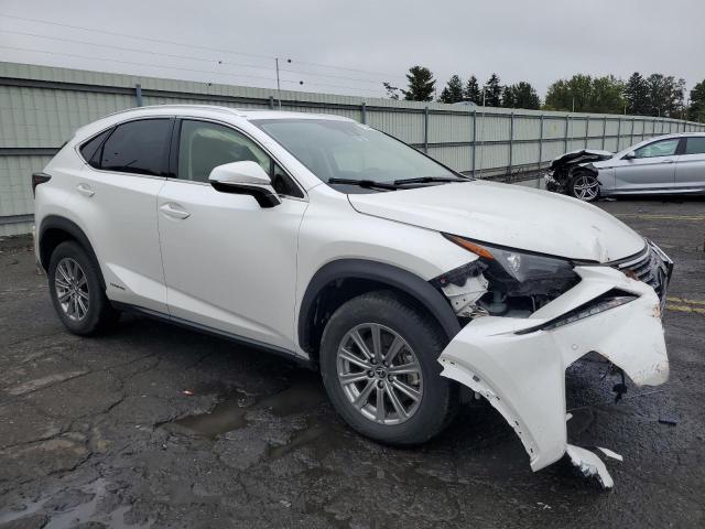 2021 LEXUS NX 300H BA - JTJDJRDZ4M5014758