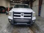 DODGE RAM 1500 photo