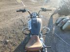 Lot #2938291717 2019 INDIAN MOTORCYCLE CO. SCOUT