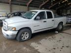 DODGE RAM 1500 photo