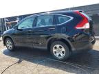 HONDA CR-V LX photo