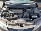 KIA FORTE EX photo