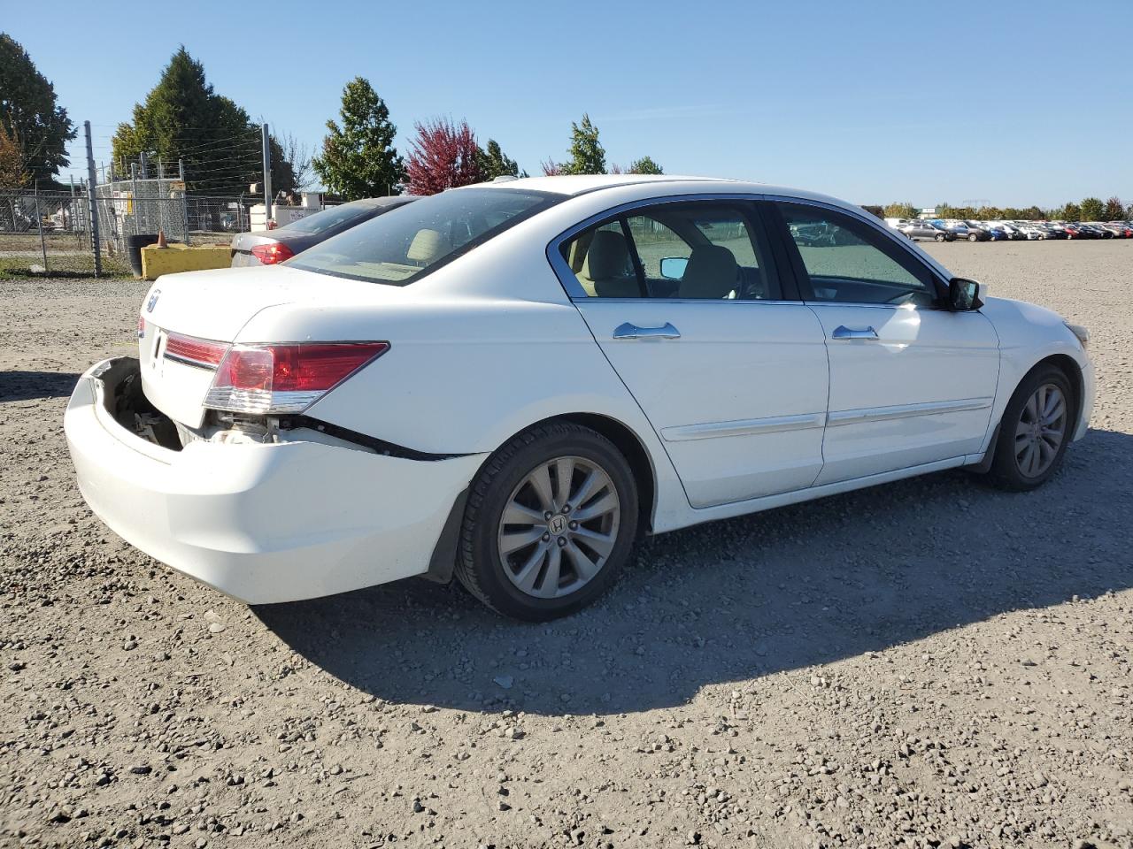 Lot #2893465587 2011 HONDA ACCORD EXL