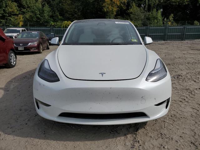 2023 TESLA MODEL Y - 7SAYGDEE2PF857090