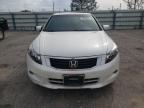 HONDA ACCORD EXL photo