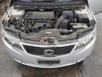 KIA FORTE EX photo