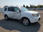 HONDA PILOT EXL photo