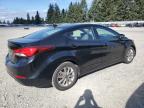 HYUNDAI ELANTRA SE photo