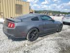 FORD MUSTANG photo