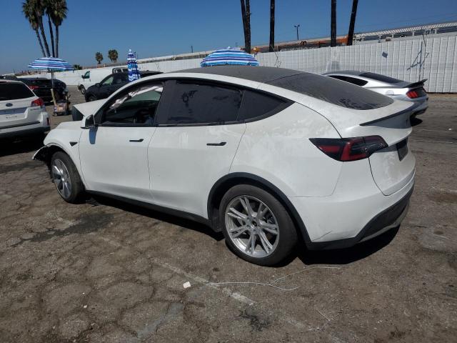 2020 TESLA MODEL Y - 5YJYGDEF1LF019925