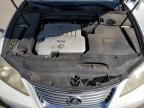 LEXUS ES 350 photo