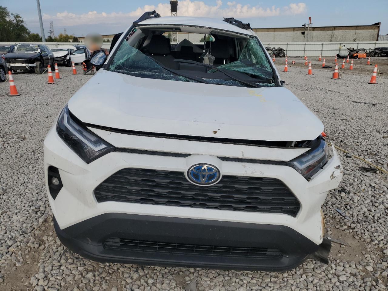 Lot #2988744651 2023 TOYOTA RAV4 WOODL