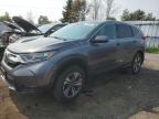 2017 HONDA CR-V LX - 2HKRW2H29HH111295