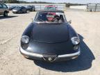 ALFA ROMEO VELOCE 200 photo